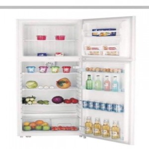 Premier 2 Door Fridge (128L)