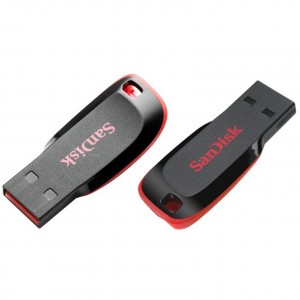 Sandisk 2GB Flash Disk