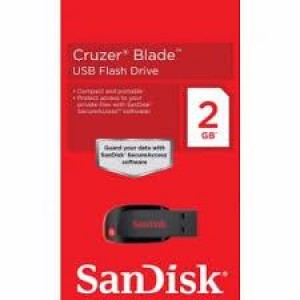 Sandisk 2GB Flash Disk