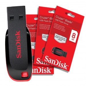 Sandisk 8GB Flash Disk