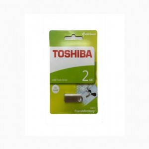 Toshiba 2GB Flash Disk