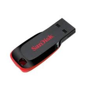 SANDISK 128gb flash disk